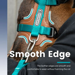 Travel Cat Harness & Leash Set by Snagg A Harness