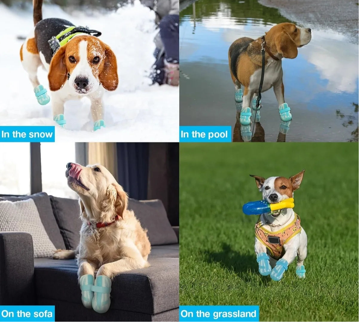 Waterproof Dog Shoes by Snagg A Shoes