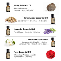 5 Bottle Signature Essential Oil Collection – 100% Pure 10ml Botanical Set for Diffusion, Skin Care & Artisanal Crafting