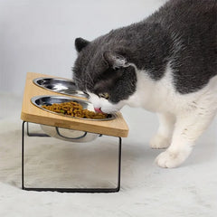 Elevated Slanted Kitten Plate Set by Snagg A Feeder