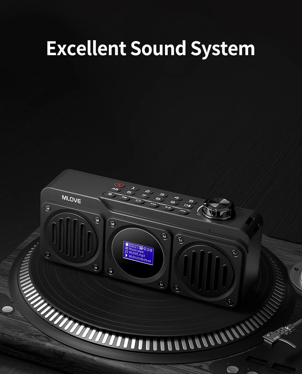 Portable Bluetooth Speaker with FM Radio by Snagg A Portable Speaker