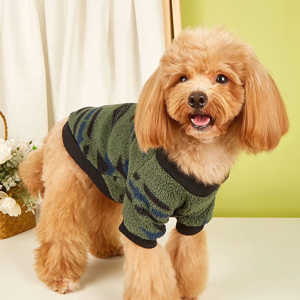 Warm Woolen Sweater for Small Dogs by Snagg A Sweater