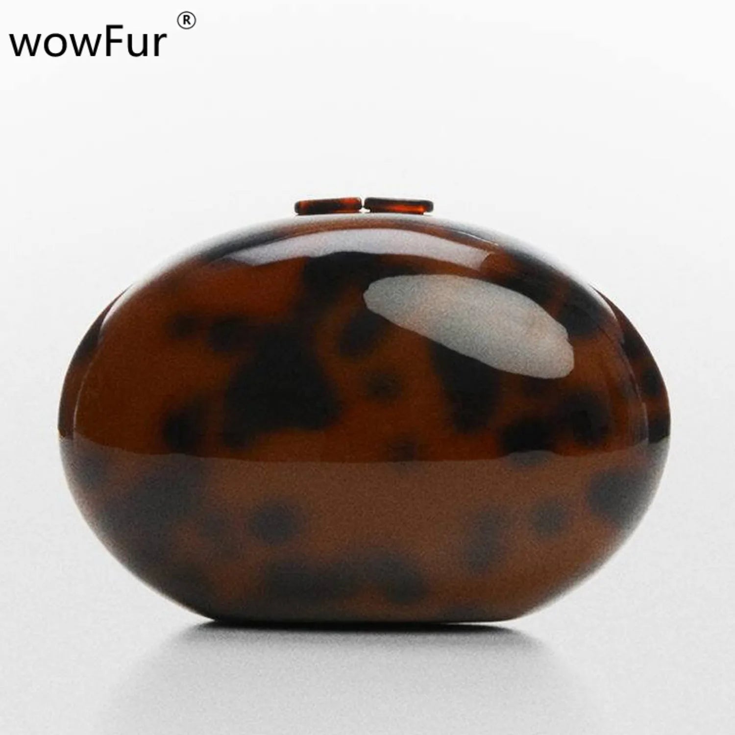Oval Shell Acrylic Evening Clutch