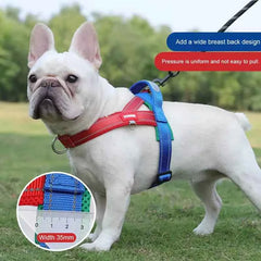 Saddle-Style Dog Harness – Padded Quick-Release Chest Strap for Small, Medium & Large Dogs