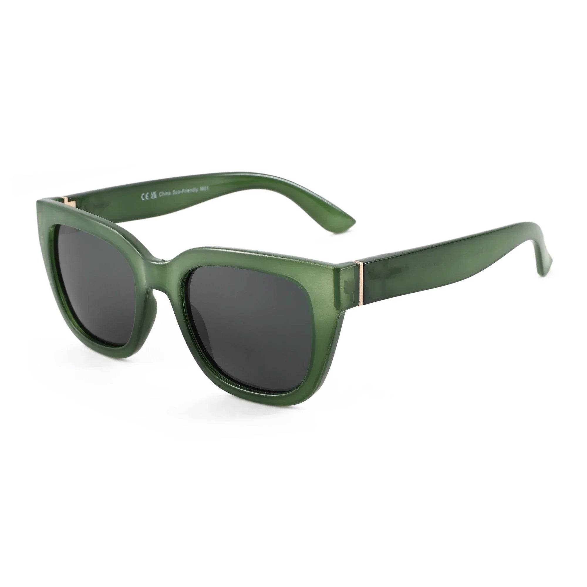 2025 Polarized Sunglasses - SnaggIt