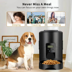 2L APP Control Automatic Pet Feeder - SnaggIt