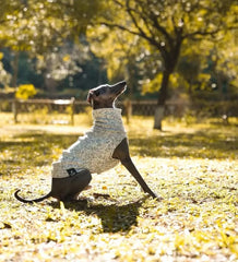 Warm Fleece Sleeveless Dog Vest