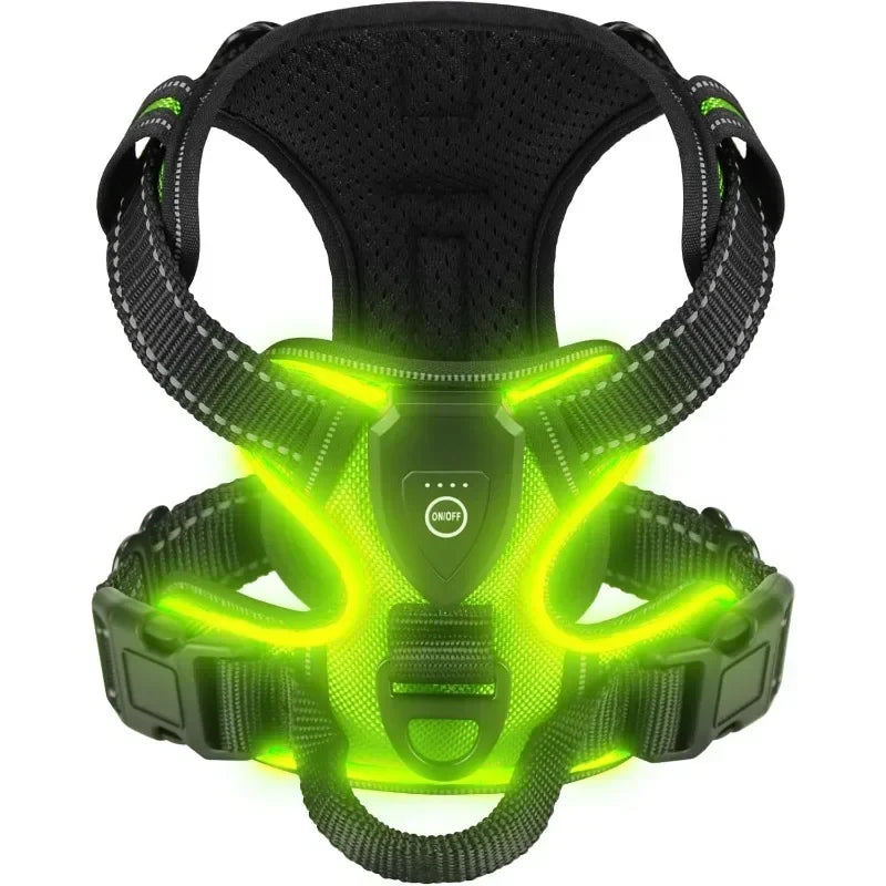 LED Luminous Dog Harness by Snagg A Harness