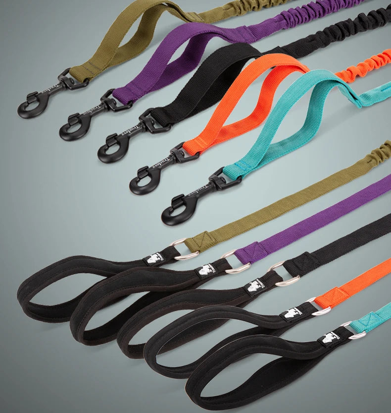 Flexible Dog Leash by Snagg A Leash