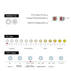 0.5CT Colored Moissanite Stud Earrings