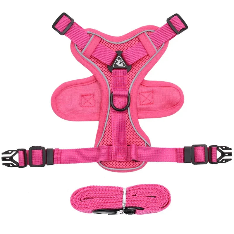 Reflective Cat & Dog Harness & Leash Set by Snagg A Harness