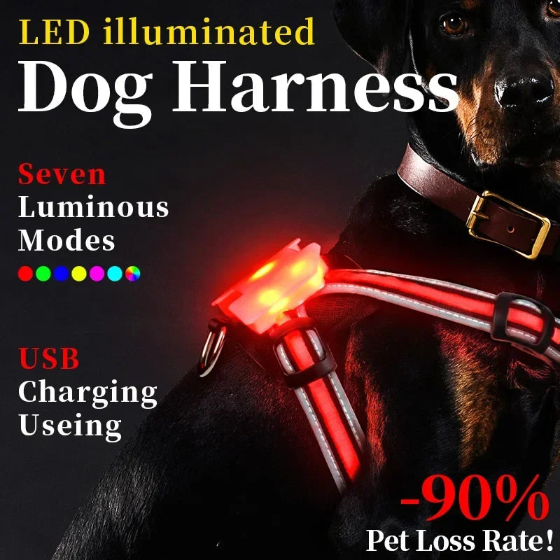Adjustable LED Dog Harness – Rechargeable & Waterproof by Snagg A Harness