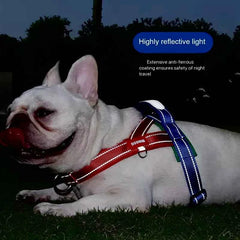 Saddle-Style Dog Harness – Padded Quick-Release Chest Strap for Small, Medium & Large Dogs