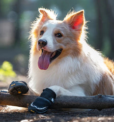 Reflective Anti Slip Dog Boots by Snagg A Shoes