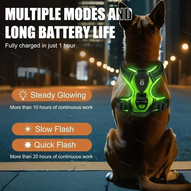 LED Luminous Dog Harness by Snagg A Harness