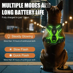 LED Luminous Dog Harness by Snagg A Harness