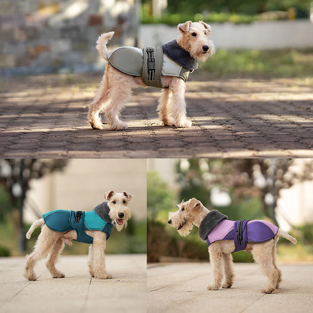 Fur-Collar Dog Vest Jacket – Thick Padded Reflective Winter Coat for Small & Medium Dogs