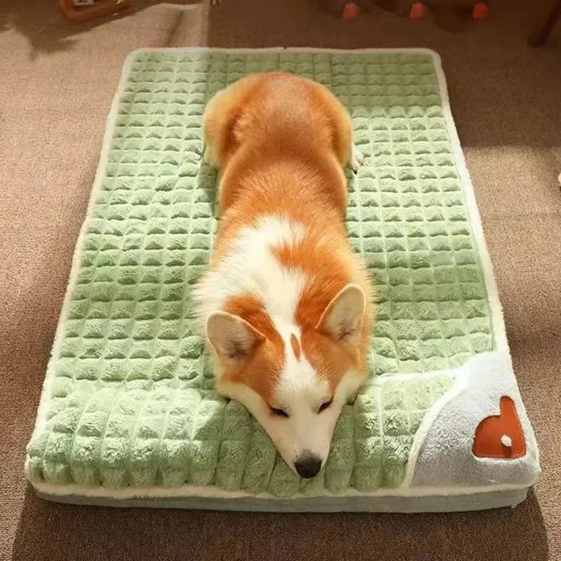 Orthopedic Dog Bed by Snagg A Pet Bed