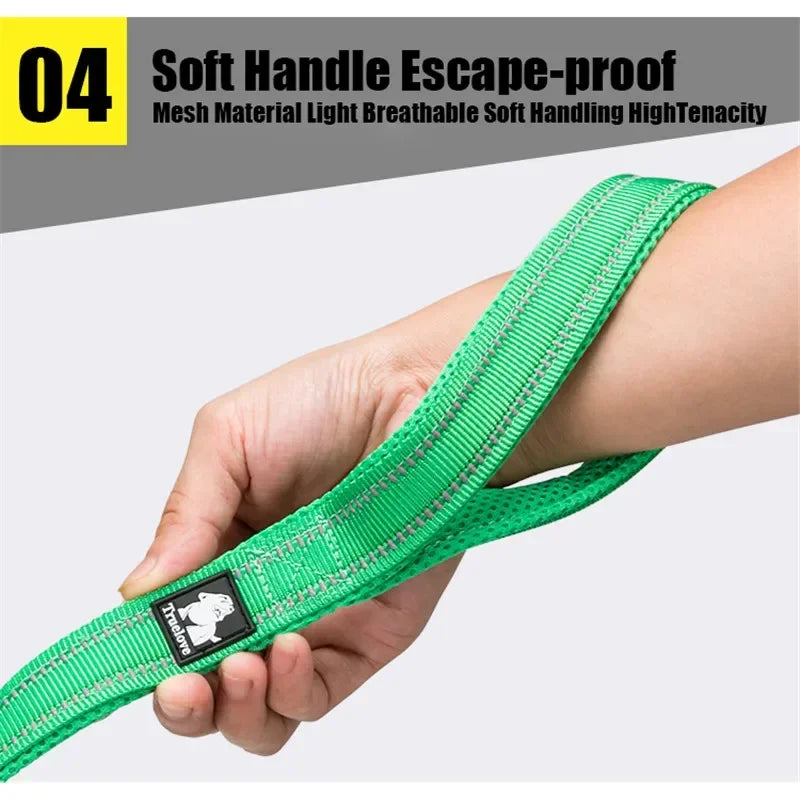 Soft Padded Reflective Dog Leash by Snagg A Leash