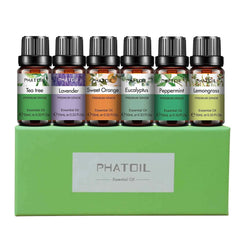 6 Piece Essential Oil Essentials – 100% Pure 10ml Botanical Set for Diffusion, Wellness & Household DIY
