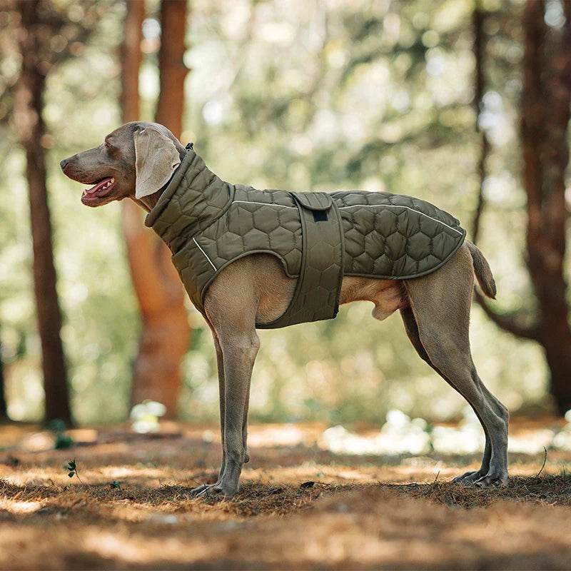Autumn & Winter Warm Dog Jacket - SnaggIt