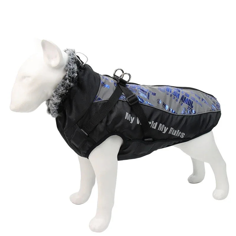 Waterproof Winter Dog Coat by Snagg A Coat
