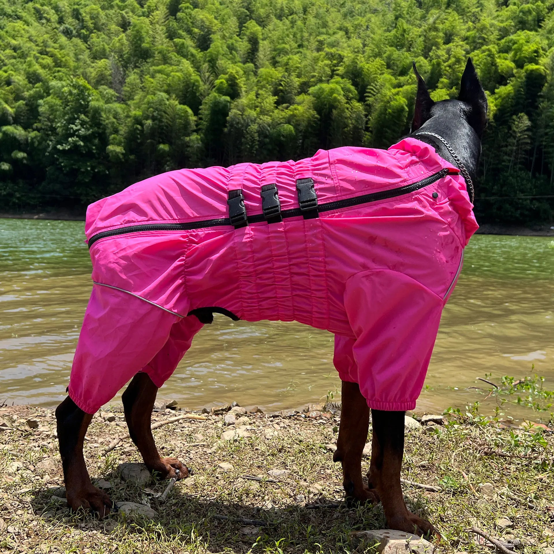 Waterproof 4-Leg Dog Raincoat Jumpsuit by Snagg A Raincoat
