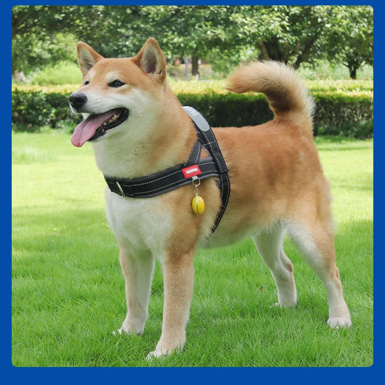 Saddle-Style Dog Harness – Padded Quick-Release Chest Strap for Small, Medium & Large Dogs
