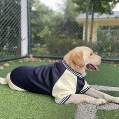 Warm Big Dog Baseball Jacket