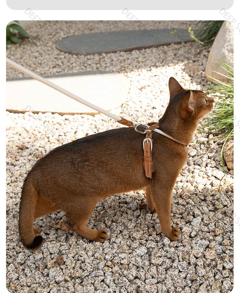 Adjustable Cat Chest Harness & Leash Set - SnaggIt