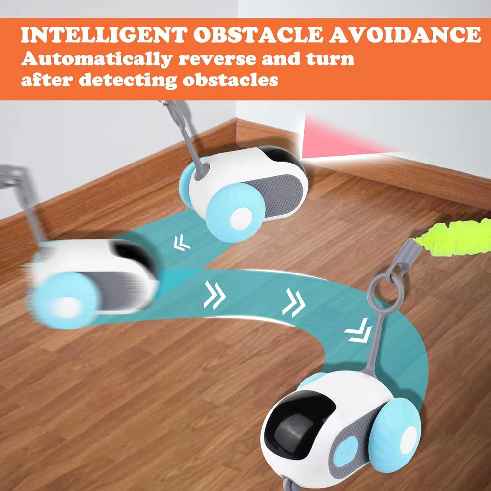 Smart Cat Toy Car by Snagg A Toy