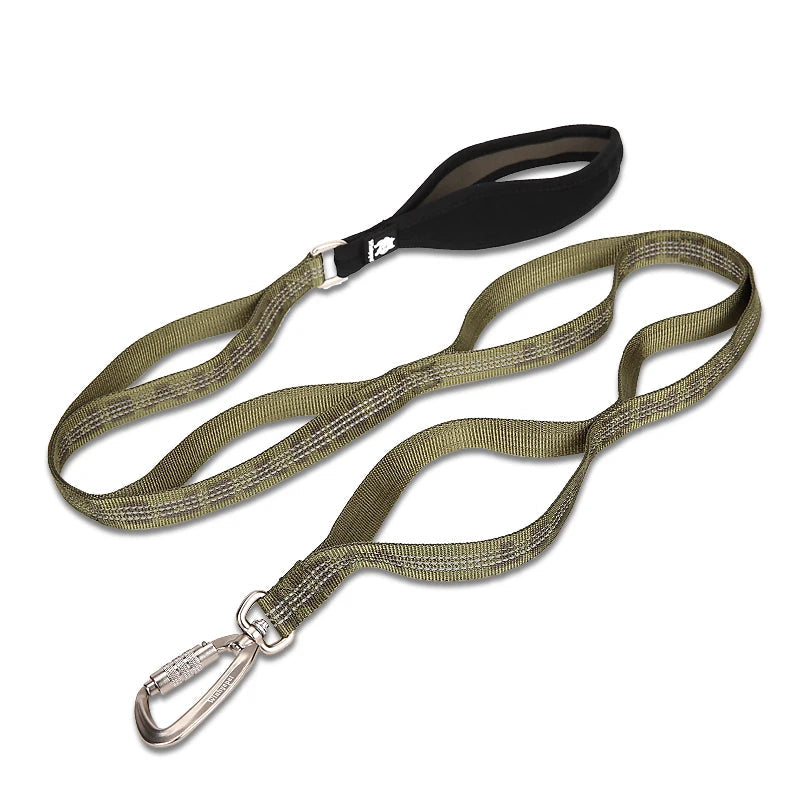 Heavy-Duty Reflective Dog Leash with Carabiner by Snagg A Leash