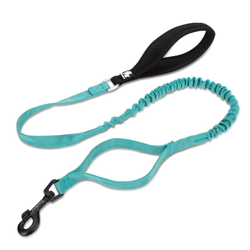 Flexible Dog Leash by Snagg A Leash