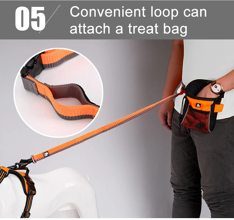 Hands-Free Bungee Dog Leash with Adjustable Waist Belt by Snagg A Leash