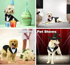 Dog Tuxedo Costume - SnaggIt