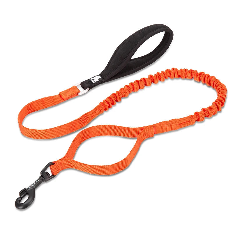 Flexible Dog Leash by Snagg A Leash