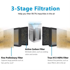 H13 True HEPA Replacement Filter 4 Pack - Compatible with LV-H128