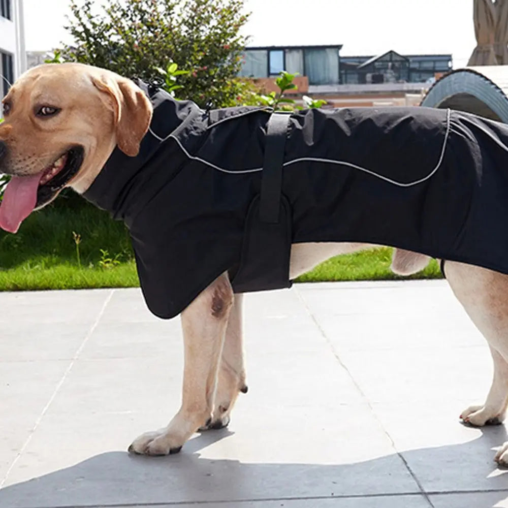 Waterproof Reflective Winter Dog Vest by Snagg A Jacket