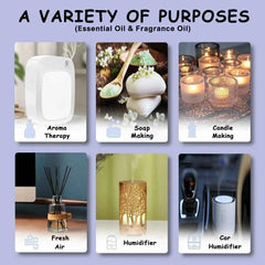 10 Piece Hotel Signature Series – Water-Based Botanical Extracts for High Velocity Environmental Scenting