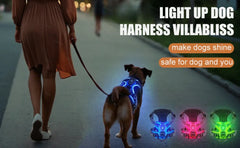 LED Luminous Dog Harness by Snagg A Harness