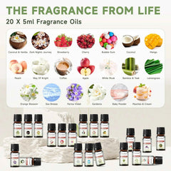 20 Piece Signature Fragrance Collection – Premium 5ml Aroma Diffusion Set for Home, Car & Crafting