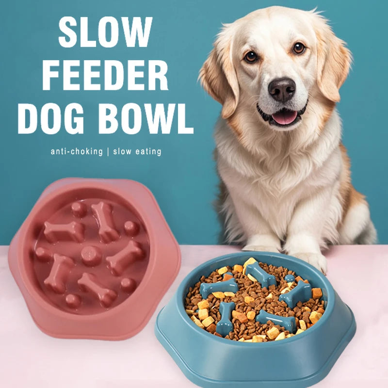 Slow Feeder Dog Bowl by Snagg A Feeder