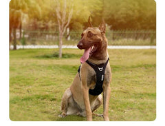 Black Tactical Dog Harness - SnaggIt
