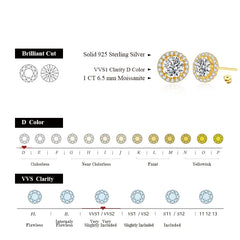 1.0CT Moissanite Stud Earrings