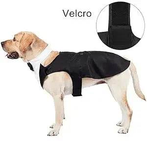 Dog Tuxedo Costume - SnaggIt
