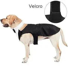 Dog Tuxedo Costume - SnaggIt