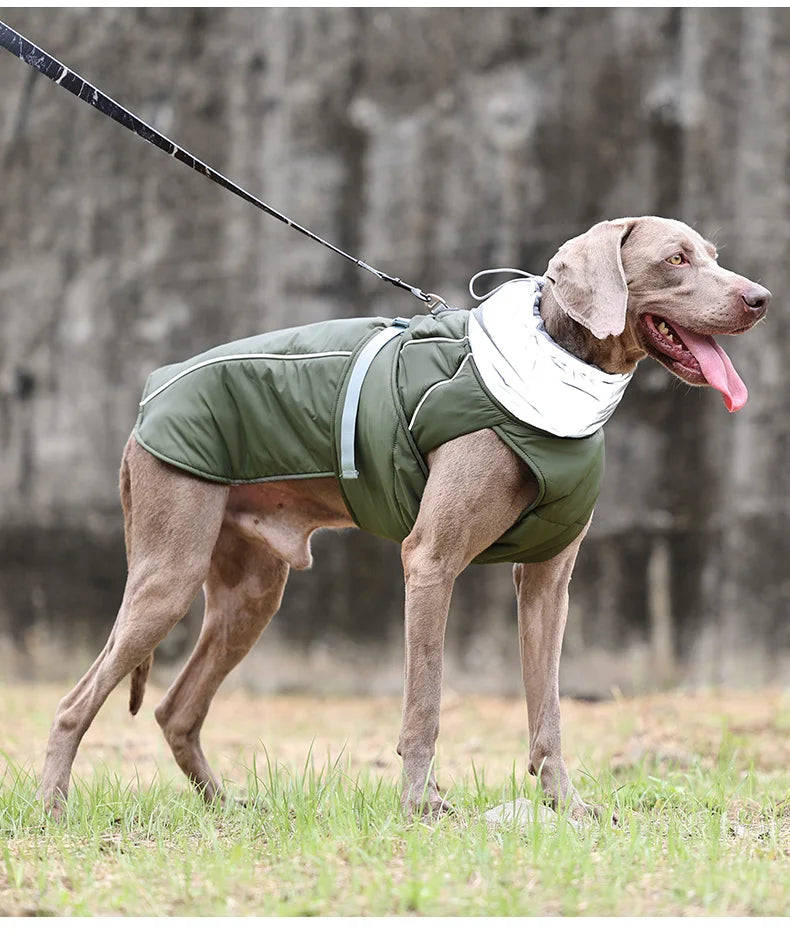 Winter Waterproof Dog Jacket by Snagg A Jacket