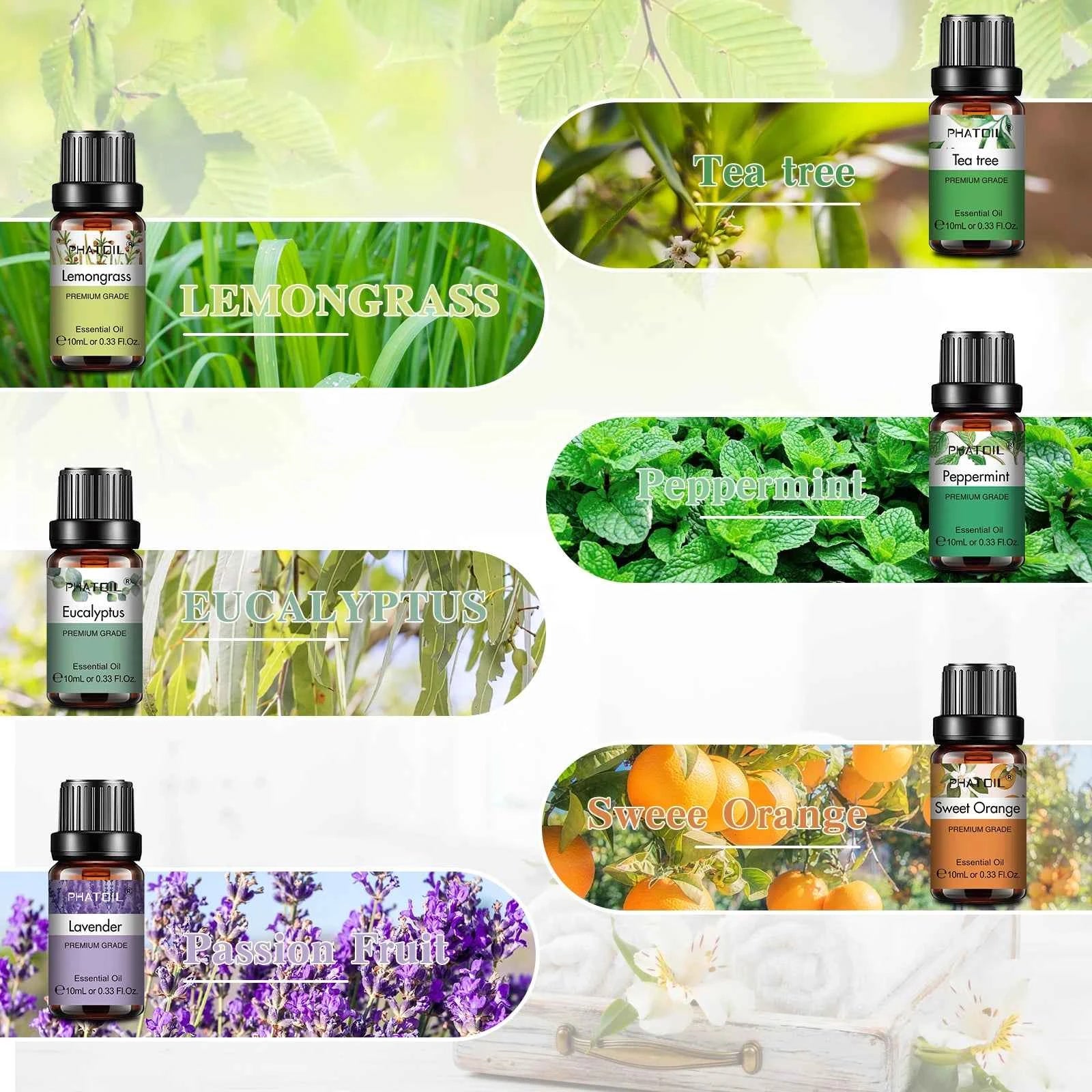 6 Piece Essential Oil Essentials – 100% Pure 10ml Botanical Set for Diffusion, Wellness & Household DIY