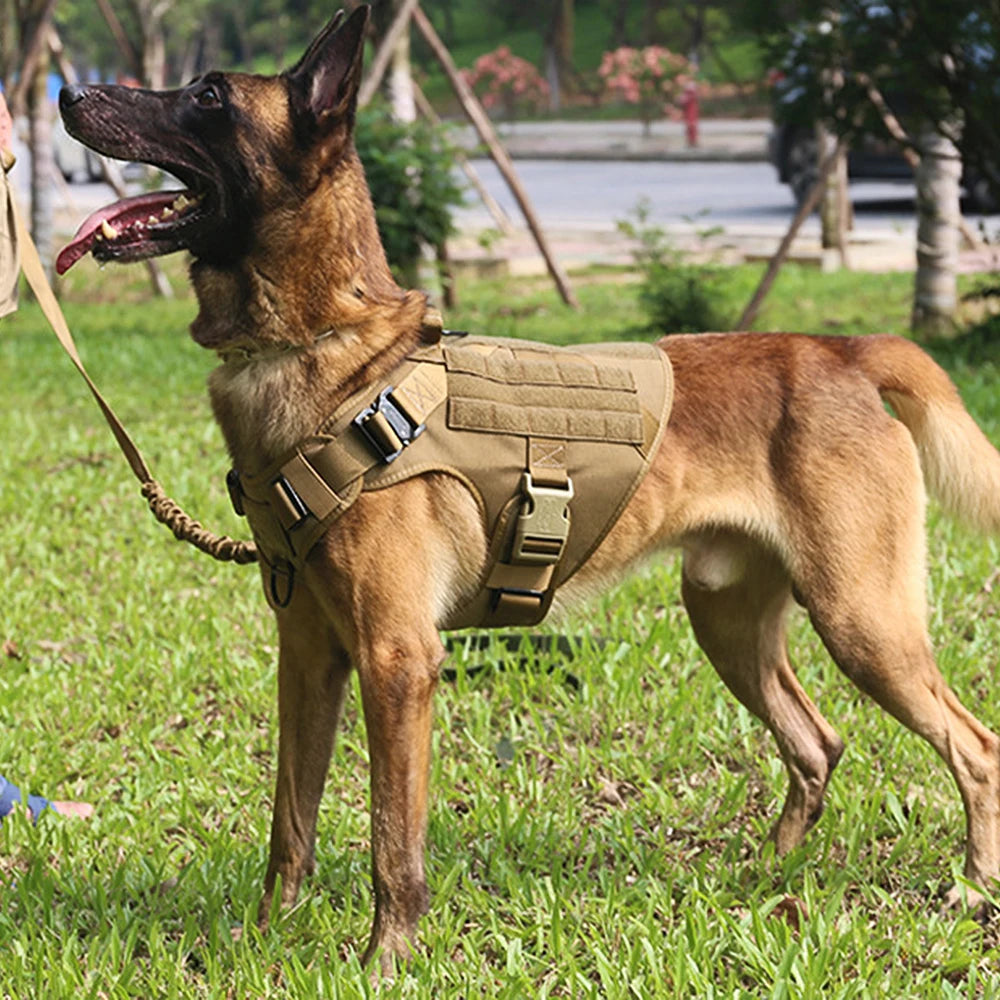 Tactical Large Dog Harness & Leash with MOLLE Pouches – Training Vest for Golden Retriever & French Bulldog