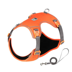 Ultra-Lightweight Breathable Harness & Leash Set by Snagg A Harness